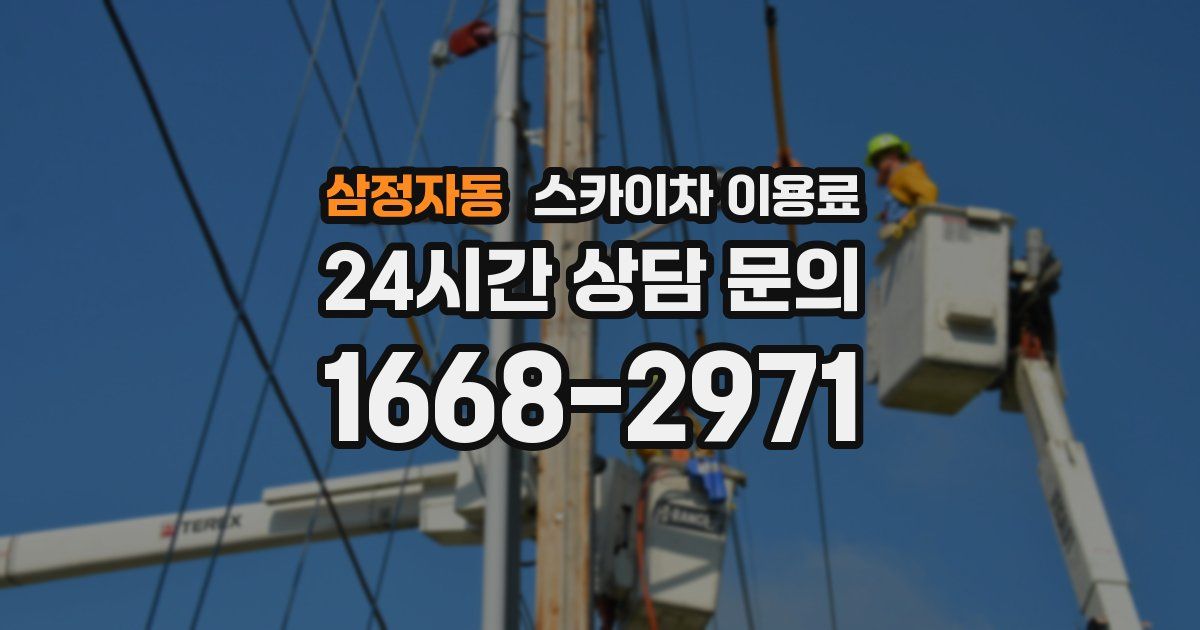 삼정자동 스카이차 이용료