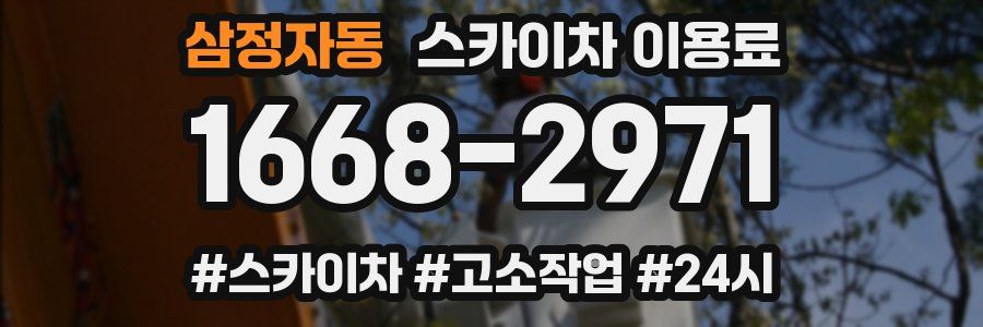 삼정자동 스카이차 이용료