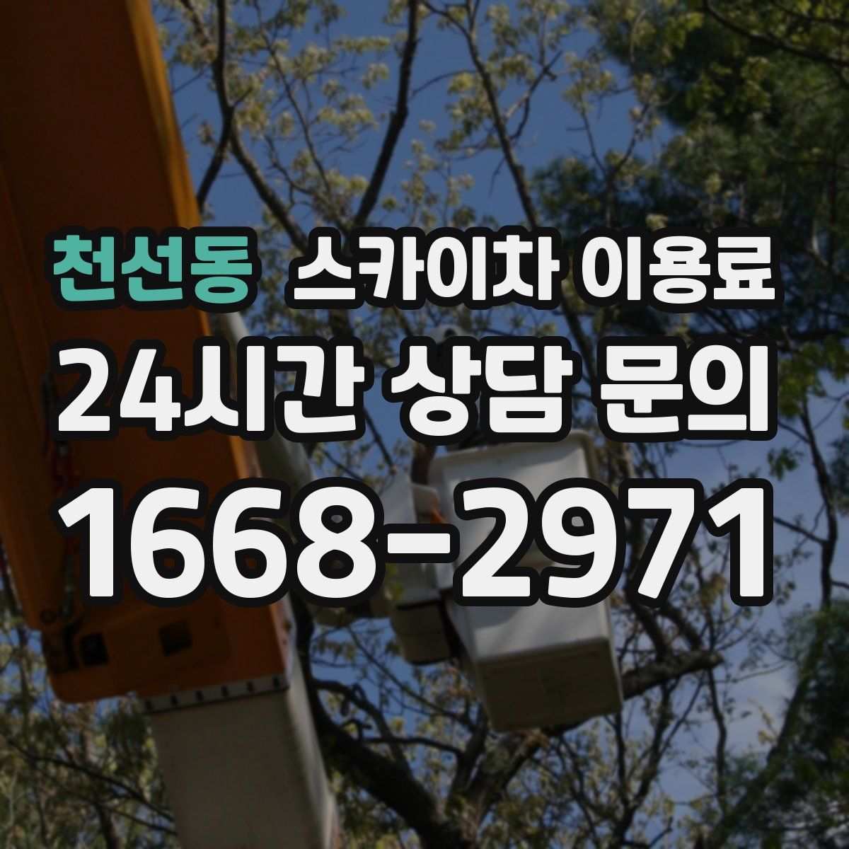 천선동 스카이차 이용료