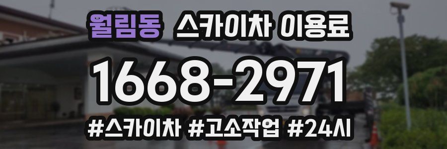 월림동 스카이차 이용료