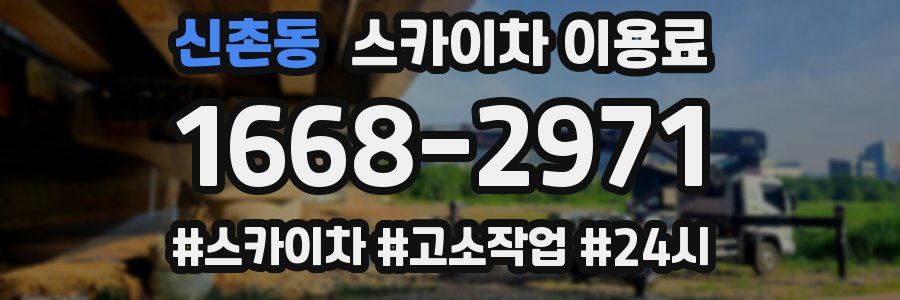 신촌동 스카이차 이용료
