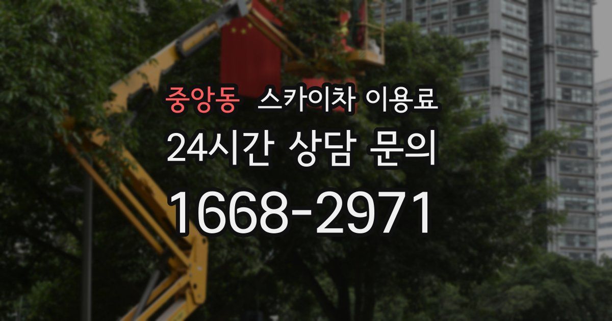 중앙동 스카이차 이용료