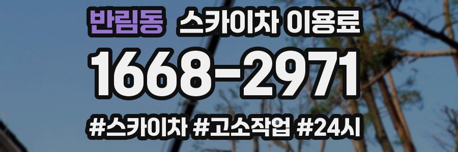 반림동 스카이차 이용료