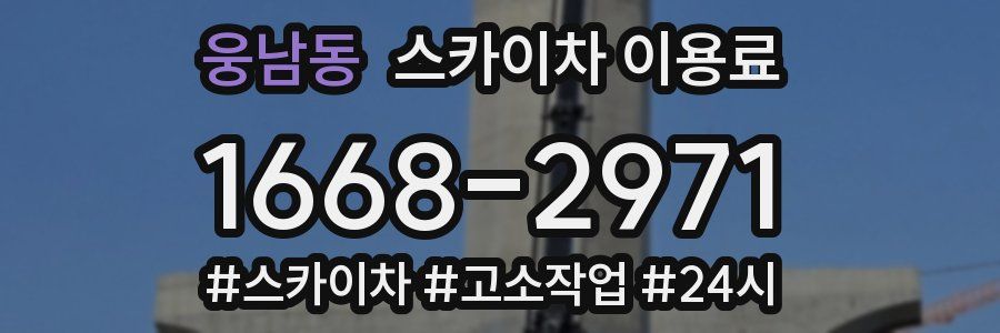 웅남동 스카이차 이용료