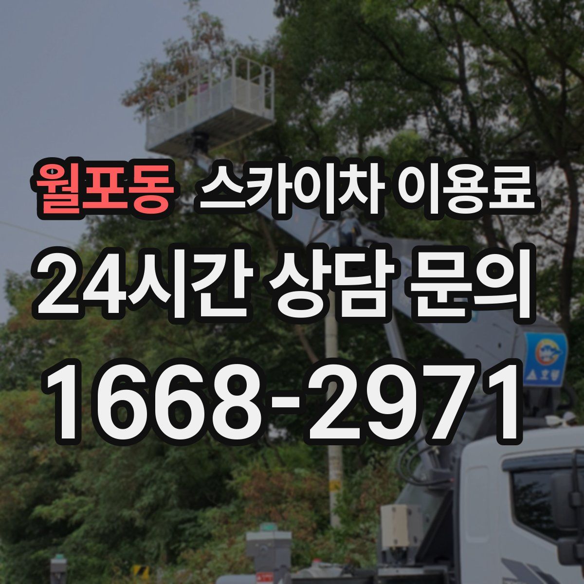 월포동 스카이차 이용료