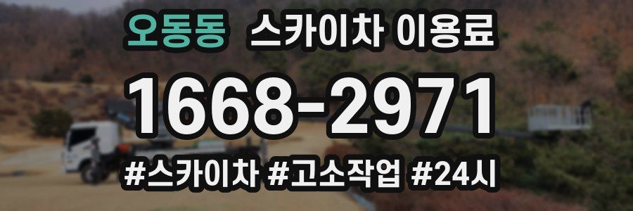 오동동 스카이차 이용료
