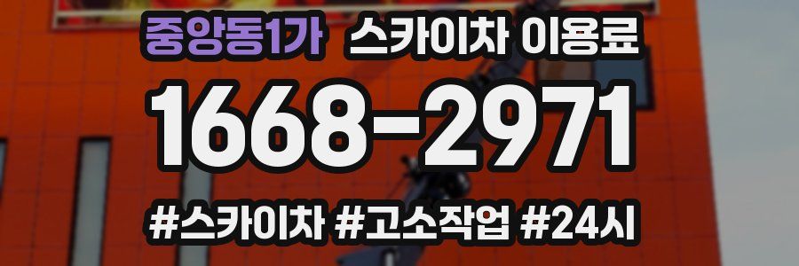 중앙동1가 스카이차 이용료