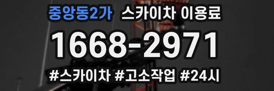 중앙동2가 스카이차 이용료