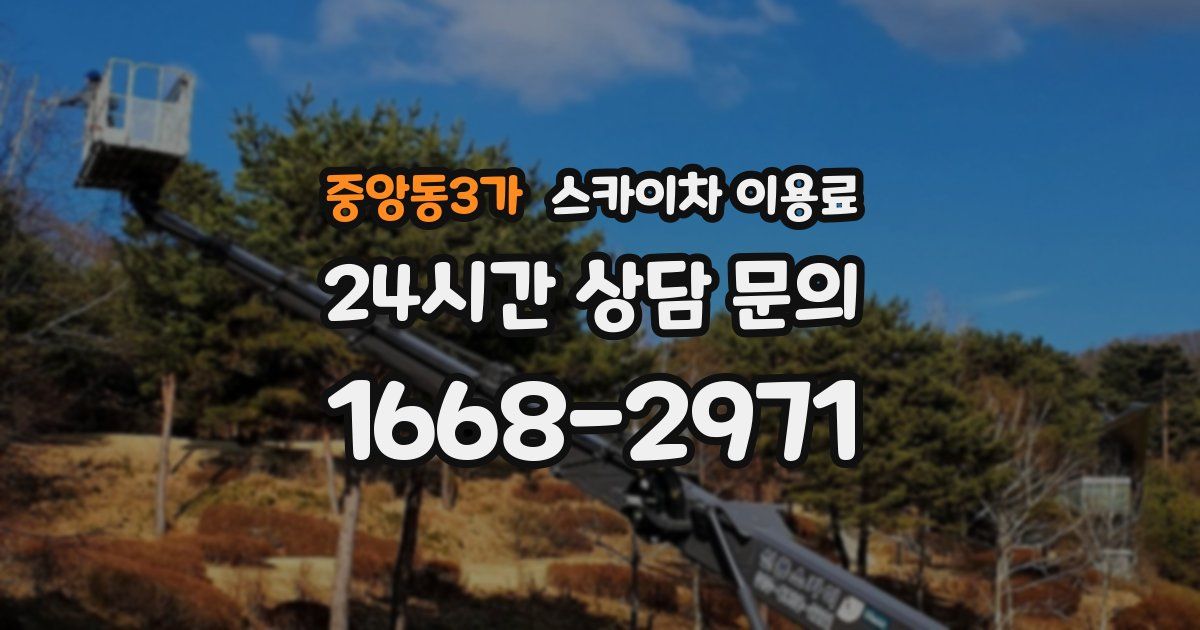 중앙동3가 스카이차 이용료