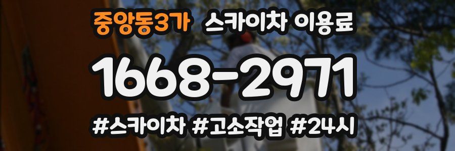 중앙동3가 스카이차 이용료