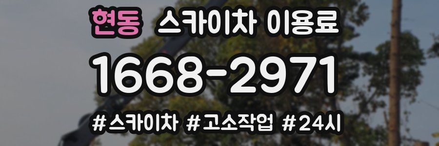 현동 스카이차 이용료