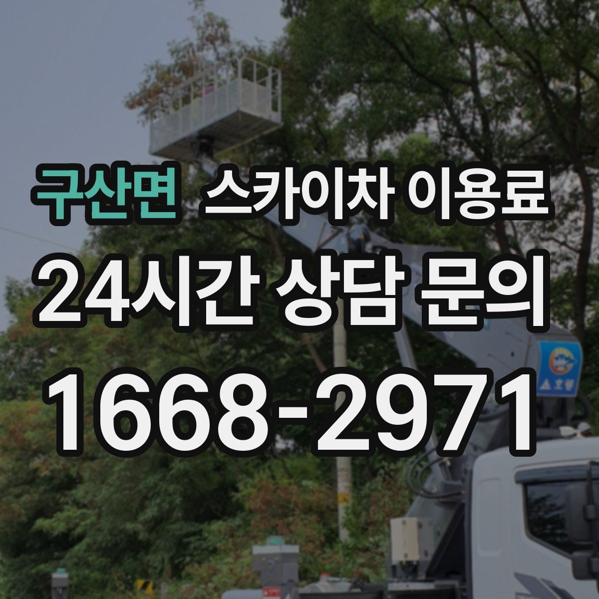 구산면 스카이차 이용료