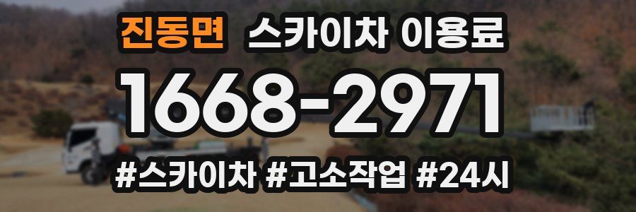 진동면 스카이차 이용료