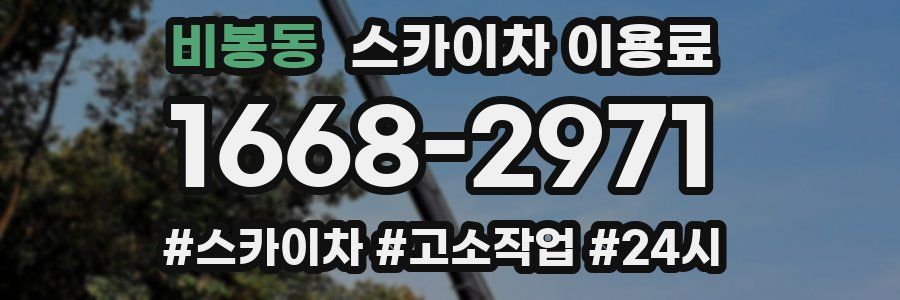 비봉동 스카이차 이용료