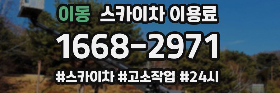 이동 스카이차 이용료