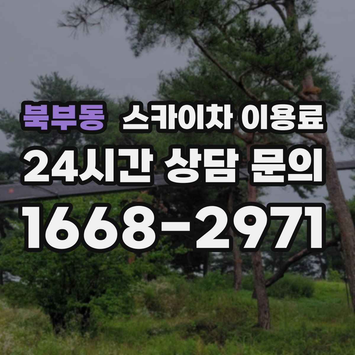북부동 스카이차 이용료