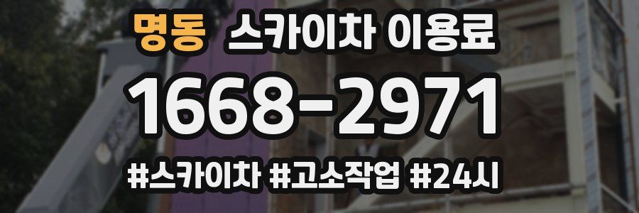 명동 스카이차 이용료