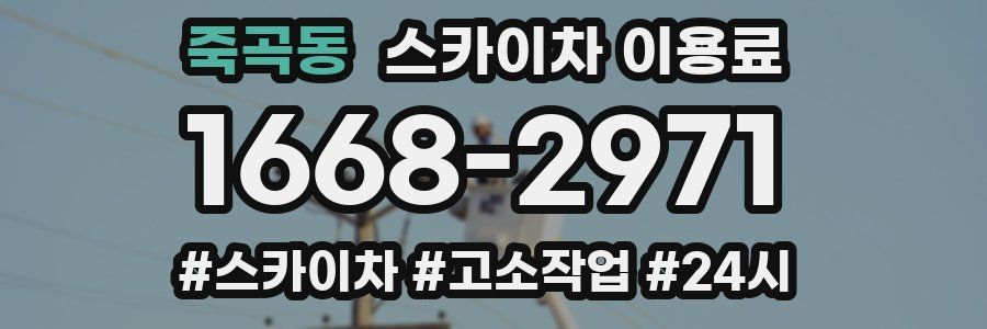 죽곡동 스카이차 이용료