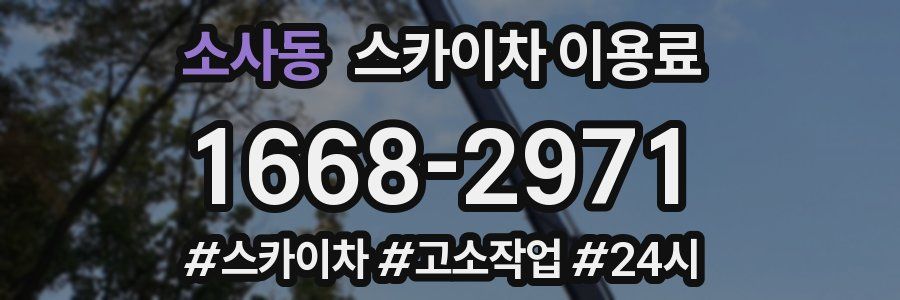 소사동 스카이차 이용료