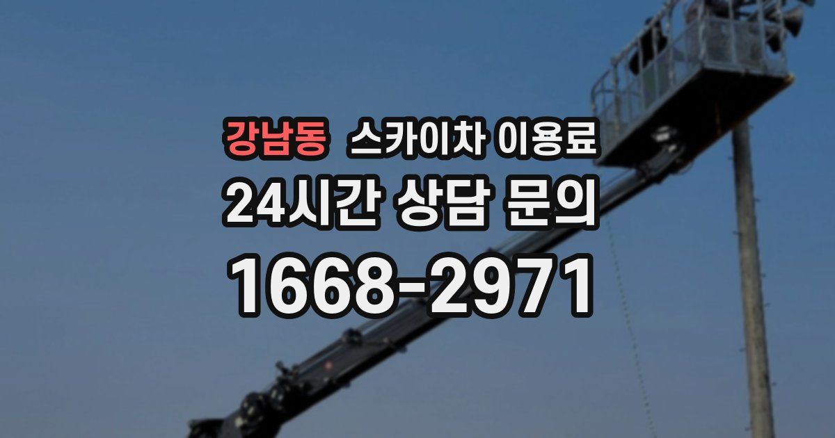 강남동 스카이차 이용료
