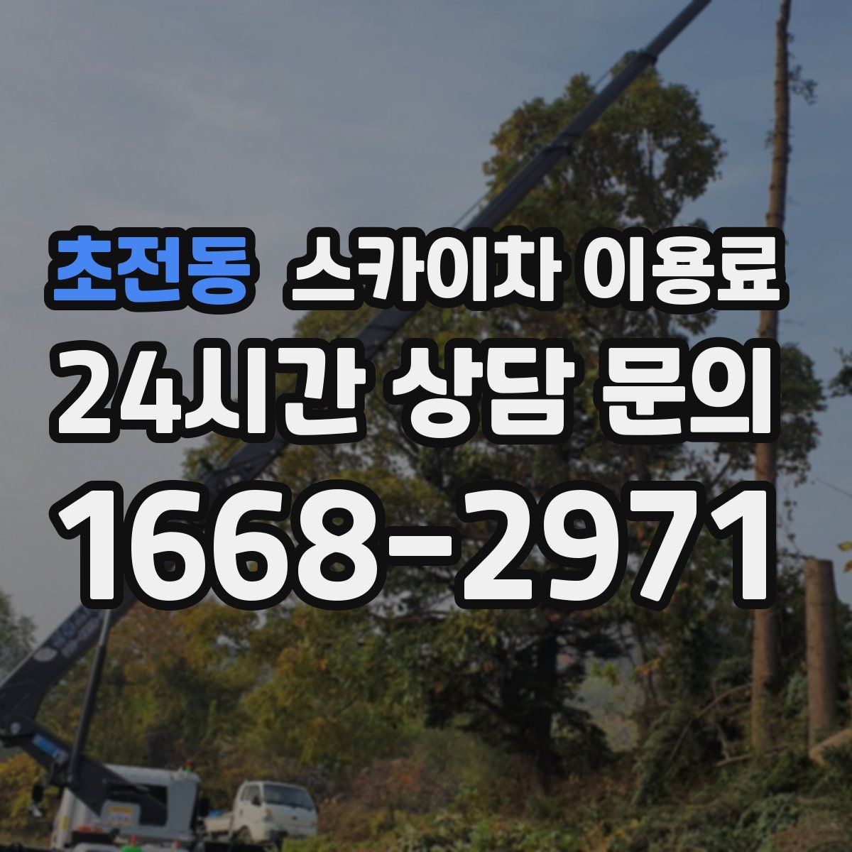 초전동 스카이차 이용료