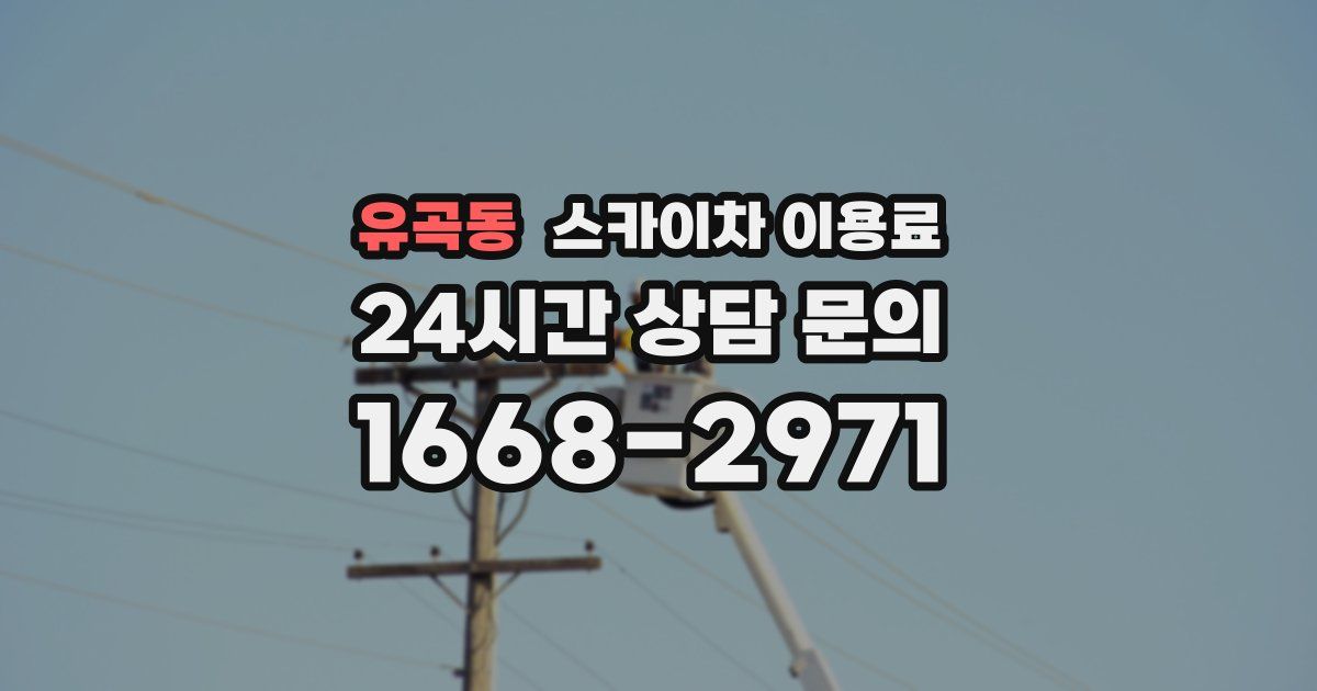 유곡동 스카이차 이용료