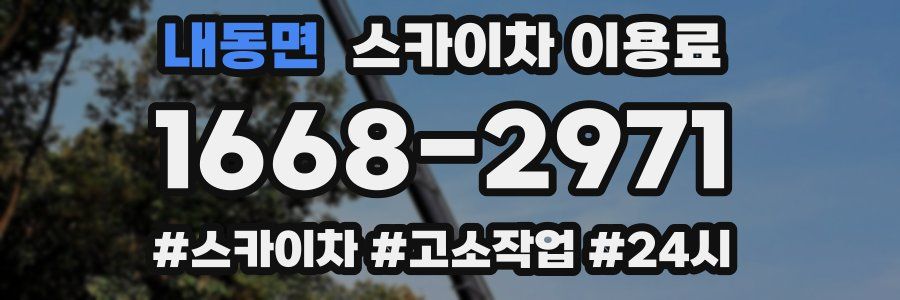 내동면 스카이차 이용료