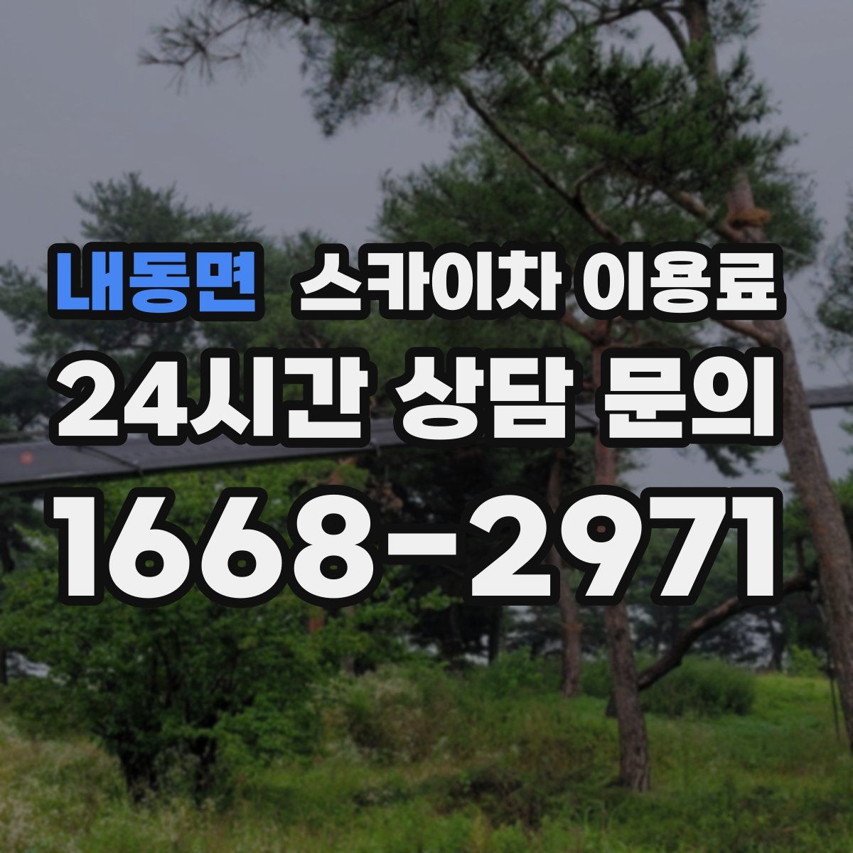 내동면 스카이차 이용료