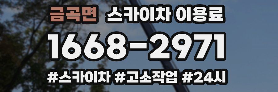 금곡면 스카이차 이용료