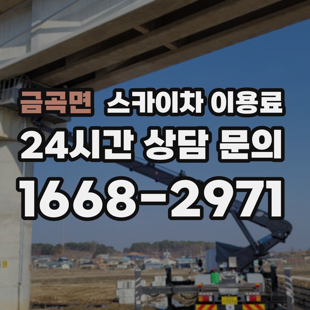 금곡면 스카이차 이용료
