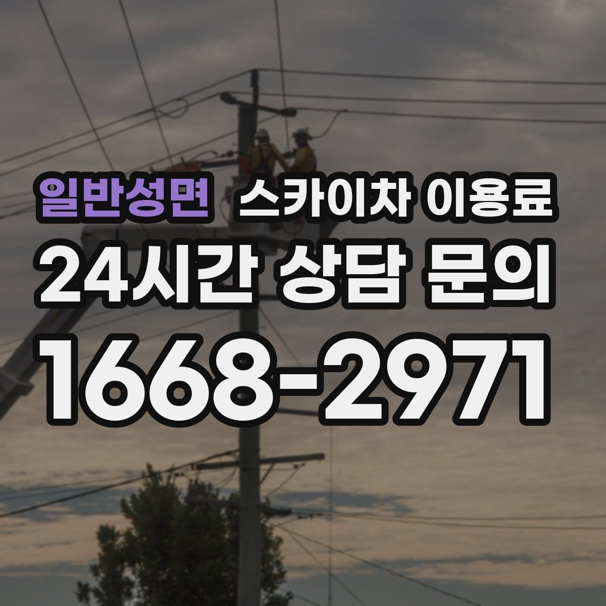 일반성면 스카이차 이용료