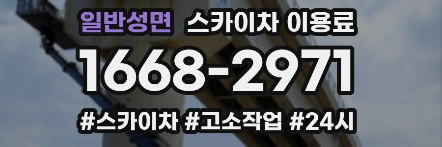 일반성면 스카이차 이용료