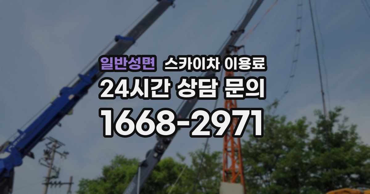 일반성면 스카이차 이용료