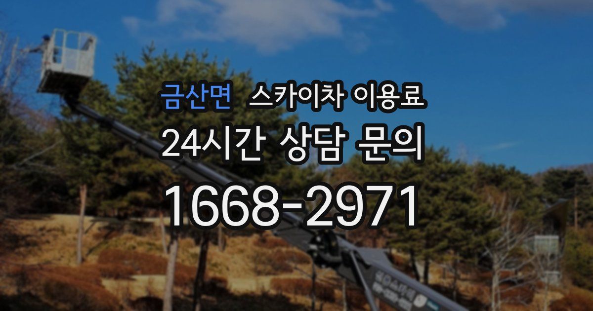 금산면 스카이차 이용료