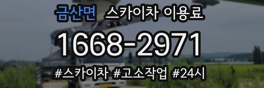금산면 스카이차 이용료