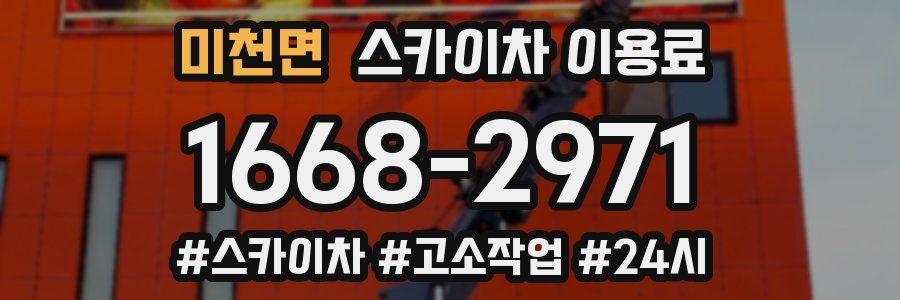 미천면 스카이차 이용료