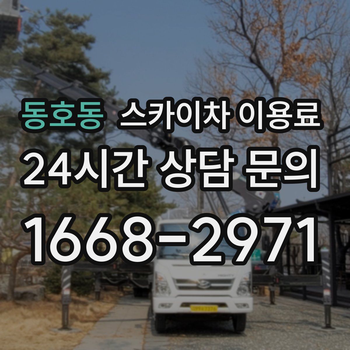 동호동 스카이차 이용료