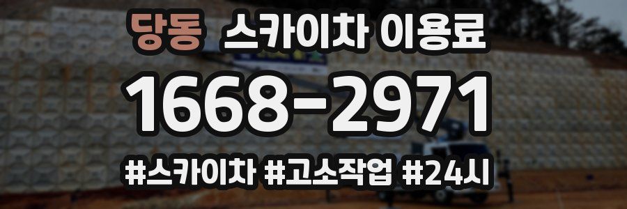 당동 스카이차 이용료