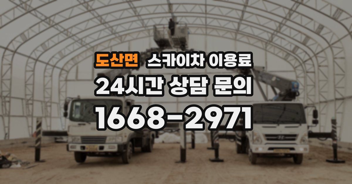 도산면 스카이차 이용료