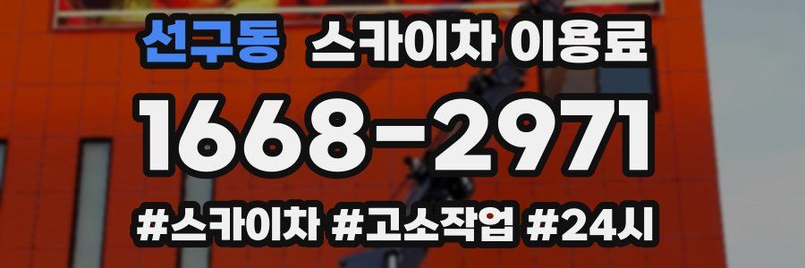 선구동 스카이차 이용료