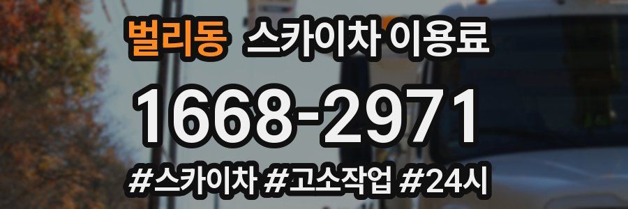 벌리동 스카이차 이용료