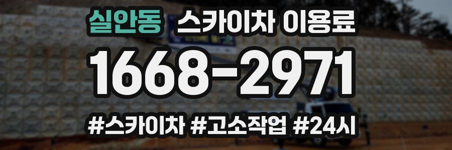 실안동 스카이차 이용료