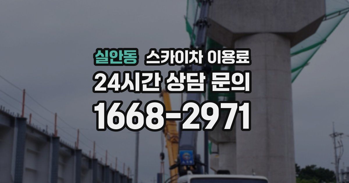실안동 스카이차 이용료