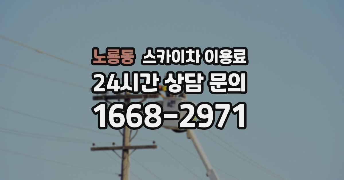 노룡동 스카이차 이용료