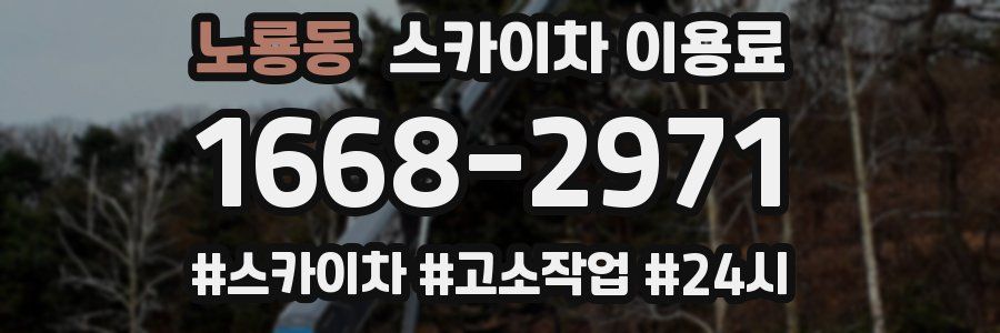 노룡동 스카이차 이용료