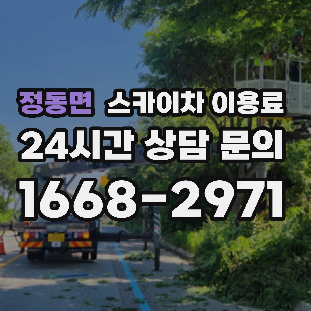 정동면 스카이차 이용료