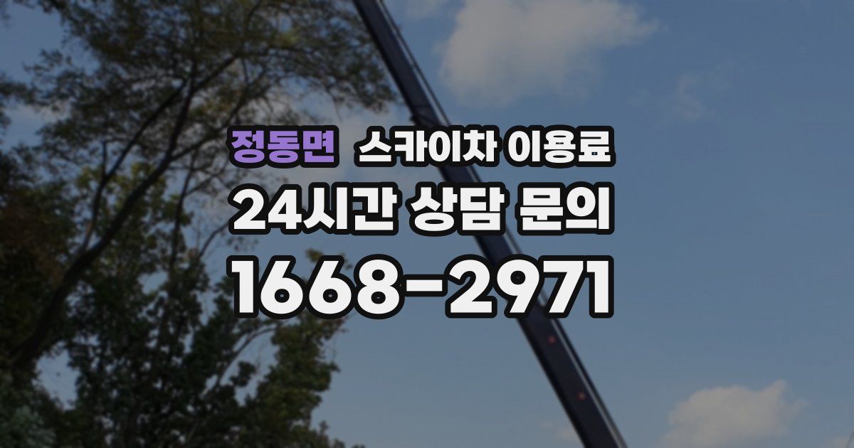 정동면 스카이차 이용료