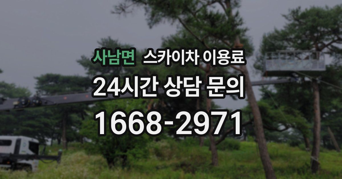 사남면 스카이차 이용료