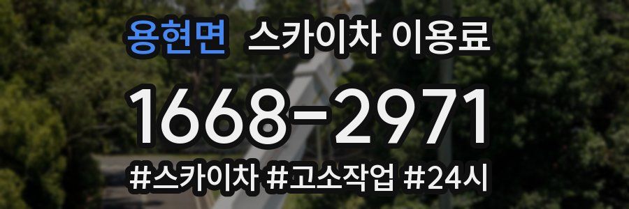 용현면 스카이차 이용료