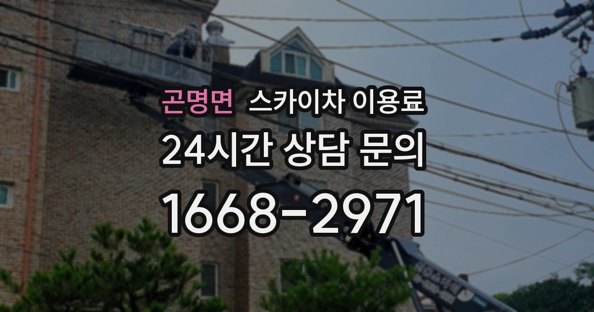 곤명면 스카이차 이용료